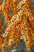 tkm001_807861