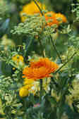 tkm001_808122