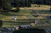 tkm001_816179