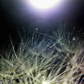 tkm001_854189
