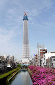 tkm001_855632