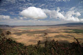 tkm001_880296