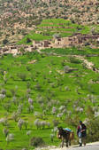 tkm001_936117