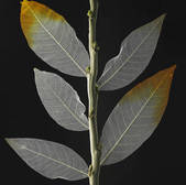 tkm003_140729