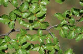 tkm003_180918