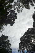 tkm003_181746