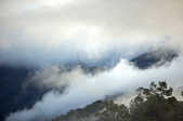 tkm003_181750