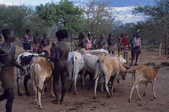tkm003_182546