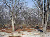 tkm003_185897