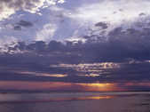 tkm003_186008