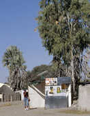 tkm003_186012