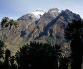 tkm003_186373
