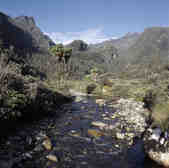 tkm003_186398