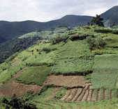 tkm003_186651