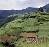 tkm003_186652