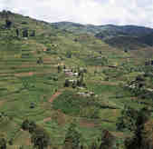 tkm003_186653