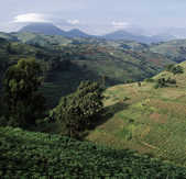 tkm003_186661
