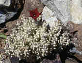tkm003_188583
