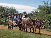 tkm003_189337
