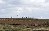 tkm003_191824