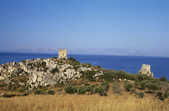 tkm003_196015