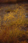tkm003_197854