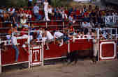tkm003_198278