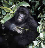 tkm003_198622