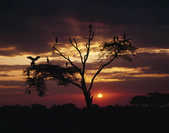 tkm003_198924
