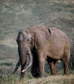 tkm003_199034