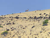 tkm003_200072