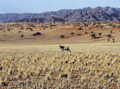tkm003_200089