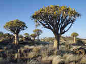 tkm003_200208