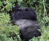 tkm003_200309