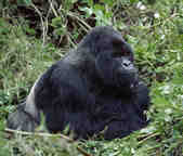 tkm003_200351