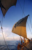 tkm003_200455