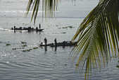 tkm003_200803