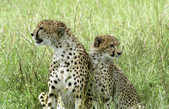 tkm003_200935