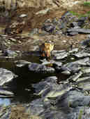 tkm003_200971