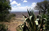 tkm003_200975