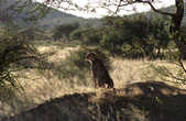tkm003_201167