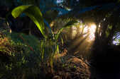 tkm003_202061