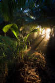 tkm003_202062