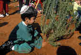 tkm003_202735