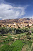 tkm003_207974