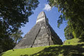 tkm003_208837