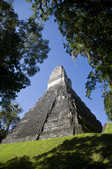 tkm003_208838