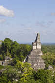 tkm003_208840