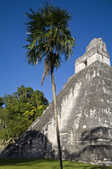 tkm003_208844