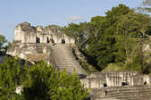 tkm003_208846
